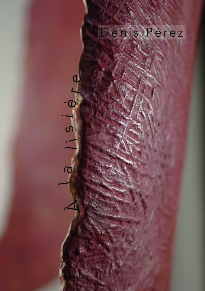 A%20la%20lisière%20couverture