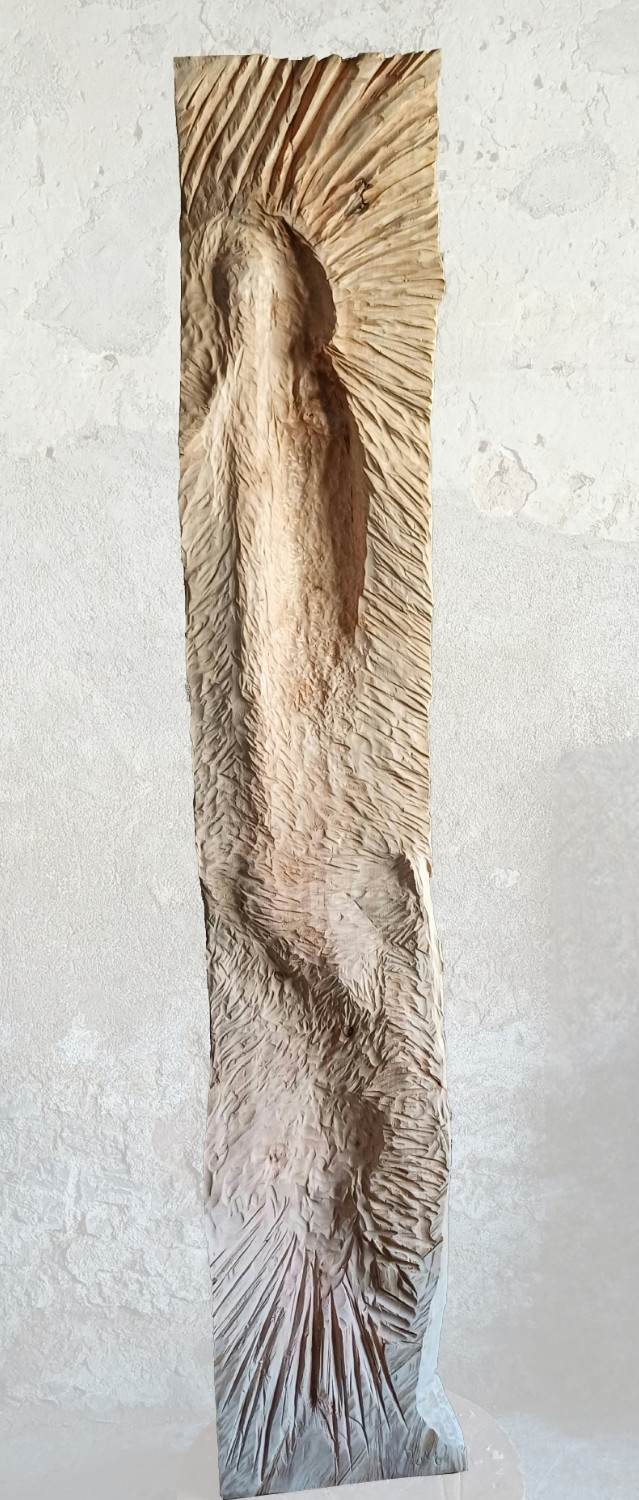 placeholder image sq