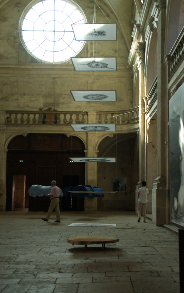 inst%20arbre%20dole%204349